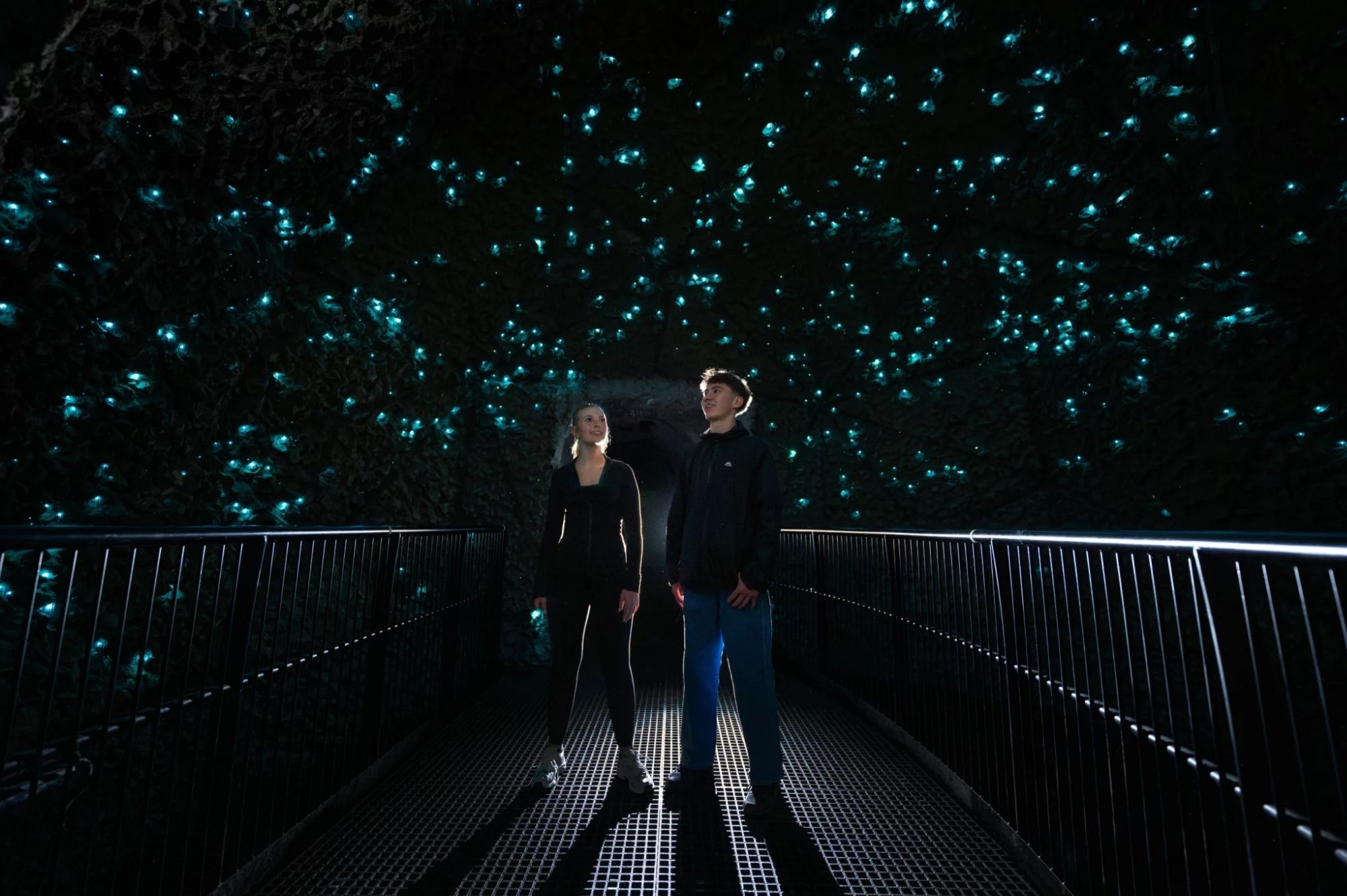 Visitors standing beneath thousands of glowing blue-green glowworms inside the Redwoods Glowworms eco-cave in Rotorua.