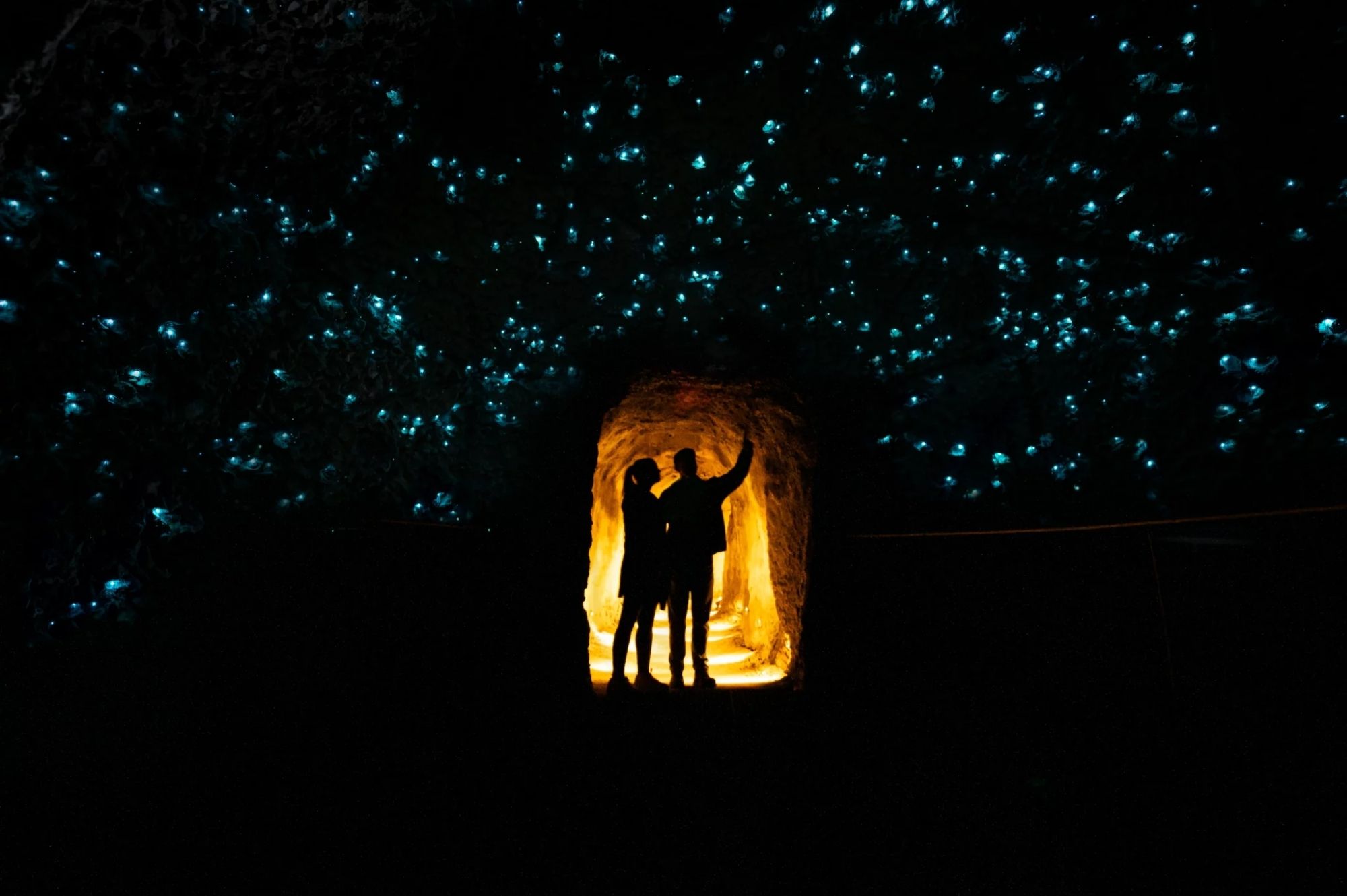 Silhouetted visitors surrounded by thousands of glowworms glowing overhead inside the Redwoods Glowworms experience.