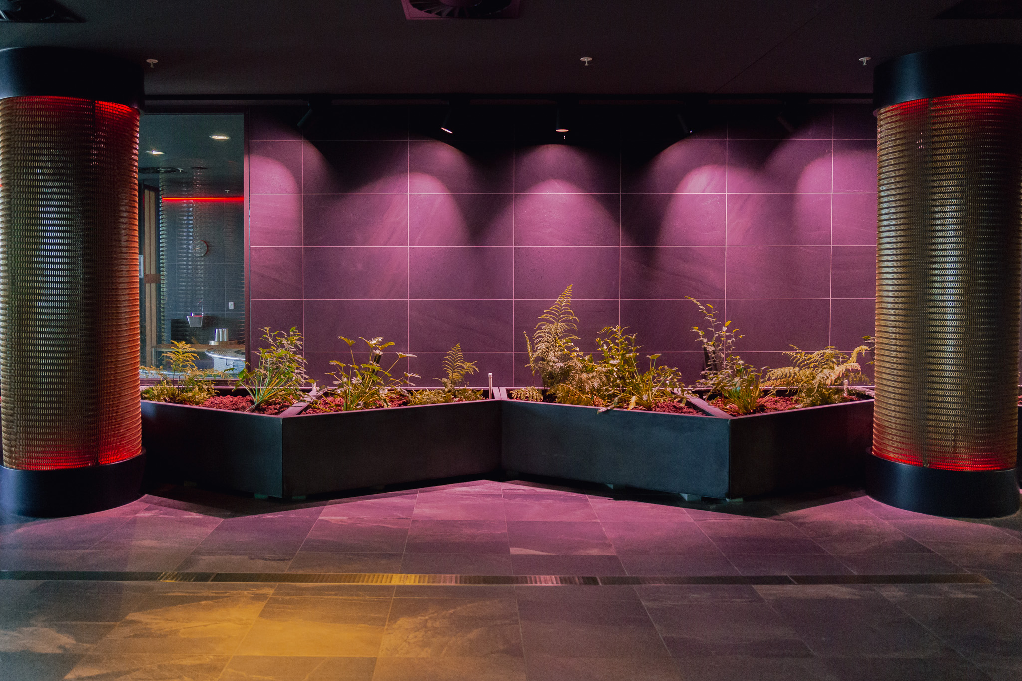 Architectural feature inspired by geothermal and cultural storytelling, with native planting inside Wai Ariki Hot Springs and Spa.