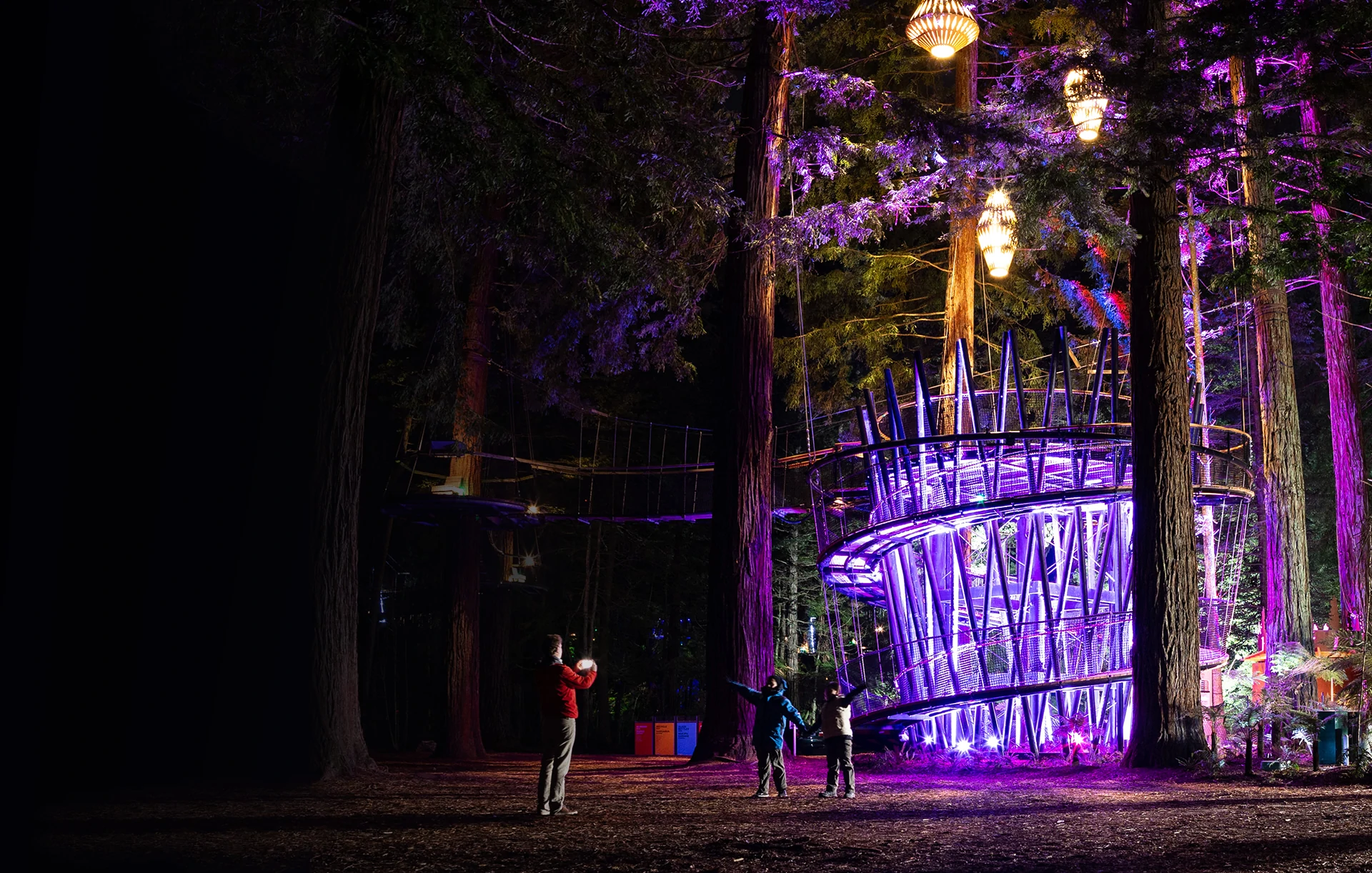 Elevated Redwoods Nightlights walkway illuminated in purple beneath the forest canopy.